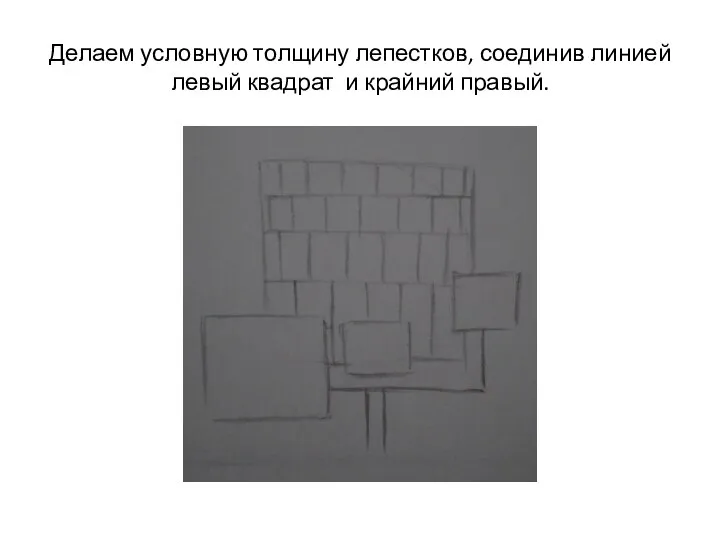 Делаем условную толщину лепестков, соединив линией левый квадрат и крайний правый.