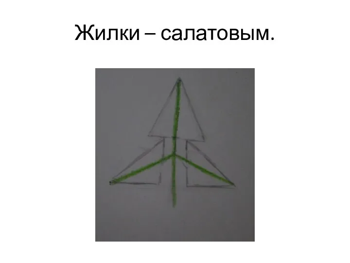 Жилки – салатовым.