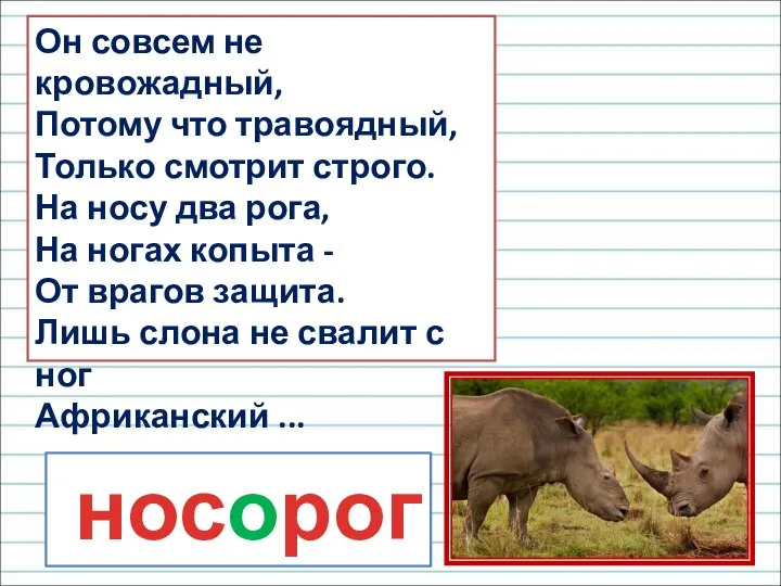 носорог Он совсем не кровожадный, Потому что травоядный, Только смотрит строго.