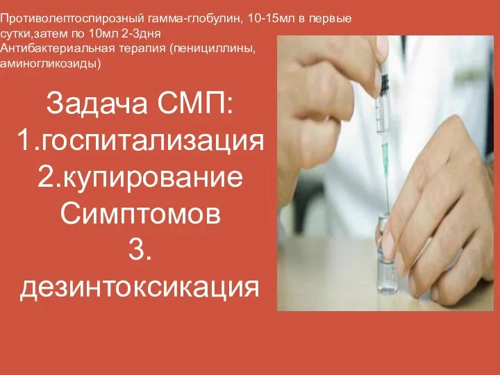 Противолептоспирозный гамма-глобулин, 10-15мл в первые сутки,затем по 10мл 2-3дня Антибактериальная терапия