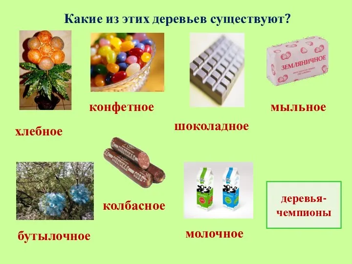 Какие из этих деревьев существуют? хлебное колбасное молочное бутылочное конфетное шоколадное мыльное деревья-чемпионы