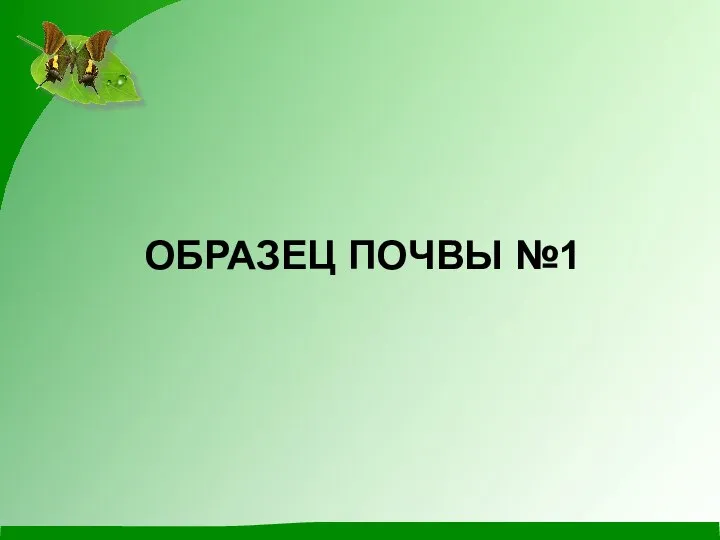 ОБРАЗЕЦ ПОЧВЫ №1