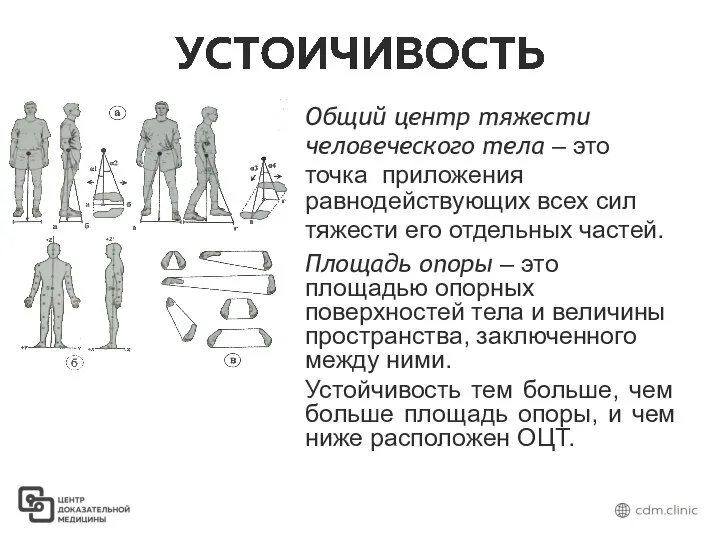 Общий центр тяжести человеческого тела – это точка приложения равнодействующих всех