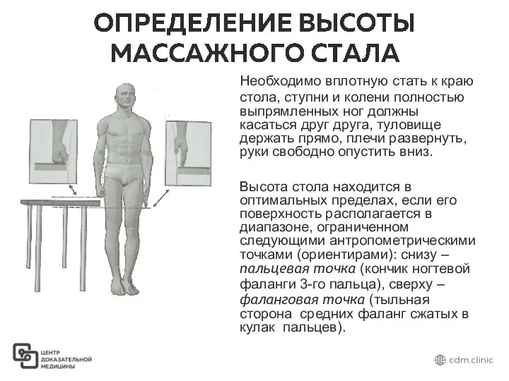 Необходимо вплотную стать к краю стола, ступни и колени полностью выпрямленных