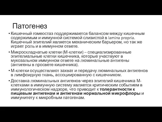 Патогенез Кишечный гомеостаз поддерживается балансом между кишечным содержимым и иммунной системой