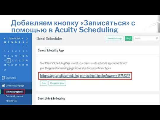 Добавляем кнопку «Записаться» с помощью в Acuity Scheduling