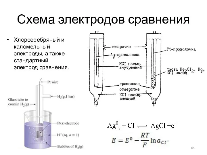 Схема электродов сравнения Хлорсеребряный и каломельный электроды, а также стандартный электрод сравнения.