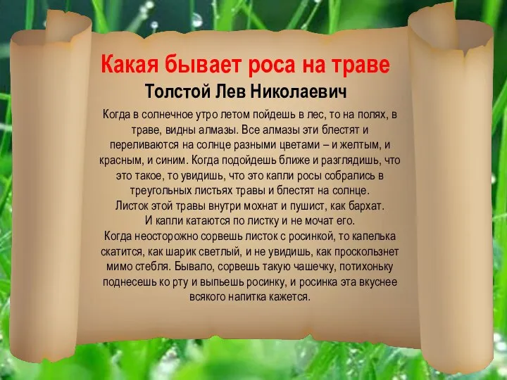 Когда в солнечное утро летом пойдешь в лес, то на полях,