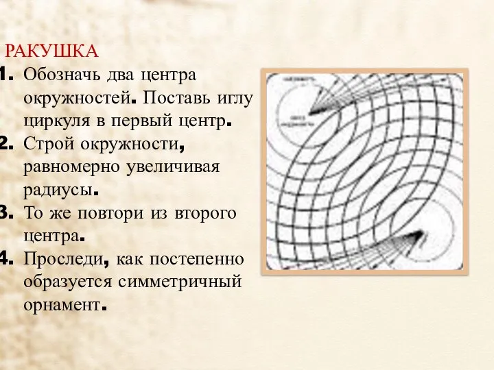 РАКУШКА Обозначь два центра окружностей. Поставь иглу циркуля в первый центр.