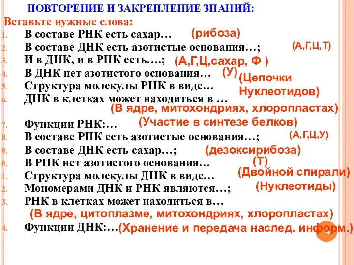 ПОВТОРЕНИЕ И ЗАКРЕПЛЕНИЕ ЗНАНИЙ: Вставьте нужные слова: В составе РНК есть