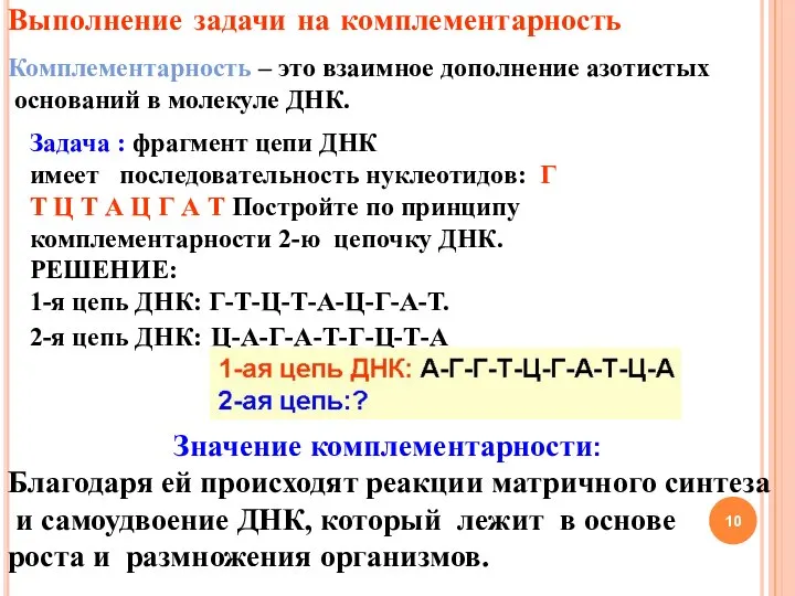 Выполнение задачи на комплементарность Комплементарность – это взаимное дополнение азотистых оснований