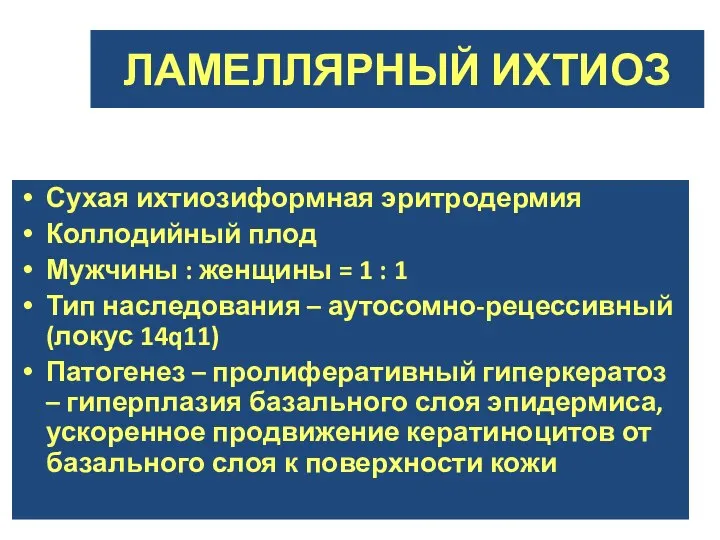 ЛАМЕЛЛЯРНЫЙ ИХТИОЗ Сухая ихтиозиформная эритродермия Коллодийный плод Мужчины : женщины =