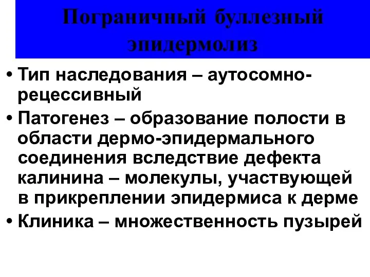 Пограничный буллезный эпидермолиз Тип наследования – аутосомно-рецессивный Патогенез – образование полости