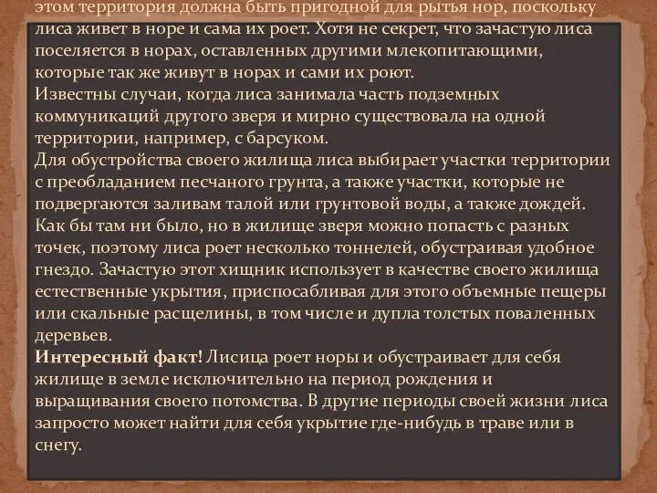 Половозрелая пара или семья лисиц занимают определенную территорию, которая обеспечивает хищников