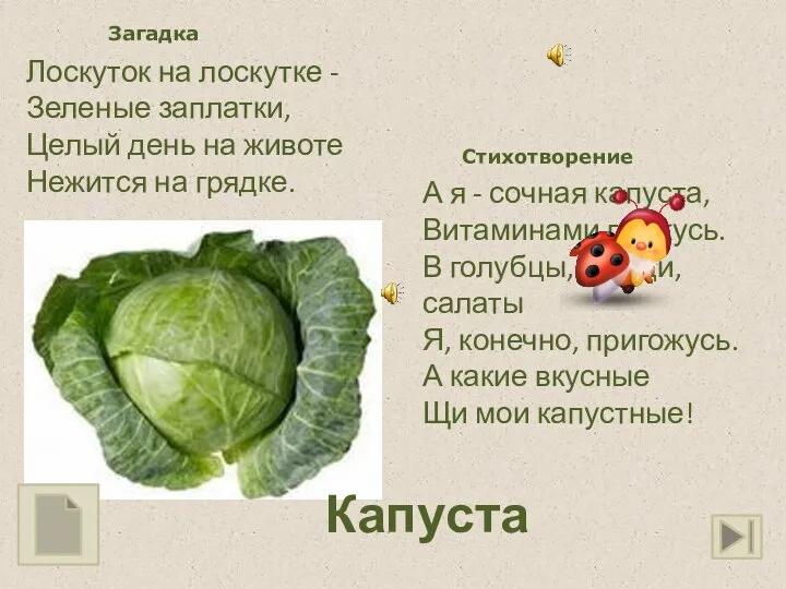 Лоскуток на лоскутке - Зеленые заплатки, Целый день на животе Нежится