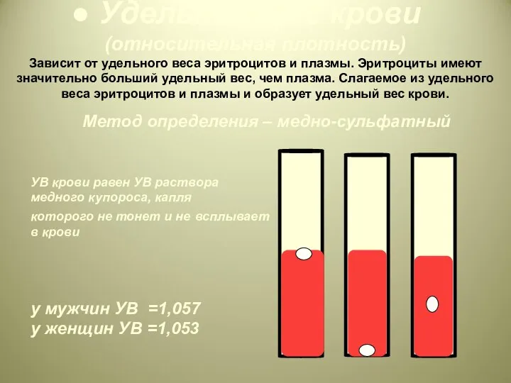 Удельный вес крови (относительная плотность) Зависит от удельного веса эритроцитов и