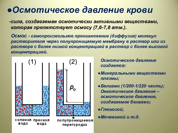 Осмотическое давление крови сила, создаваемая осмотически активными веществами, которая препятствует осмосу