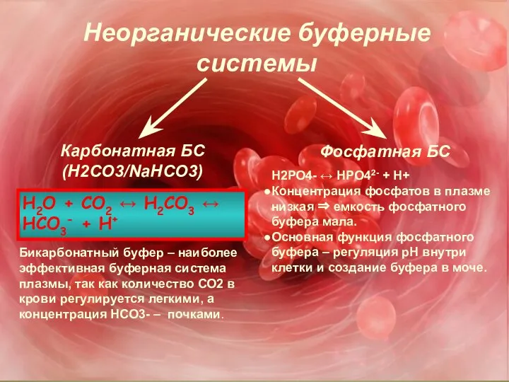 Неорганические буферные системы Карбонатная БС (H2CO3/NaHCO3) Бикарбонатный буфер – наиболее эффективная