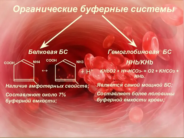 Органические буферные системы Белковая БС Наличие амфотерных свойств; Составляют около 7%