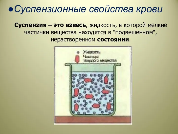 Суспензионные свойства крови Суспензия – это взвесь, жидкость, в которой мелкие