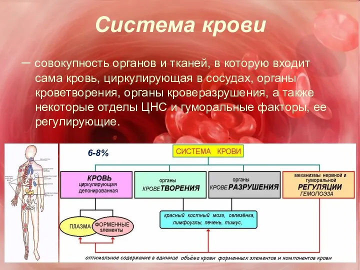 Система крови – совокупность органов и тканей, в которую входит сама