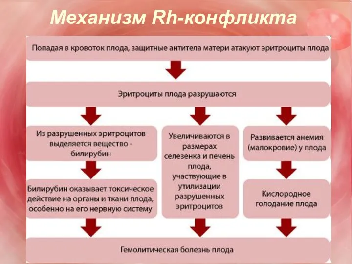 Механизм Rh-конфликта