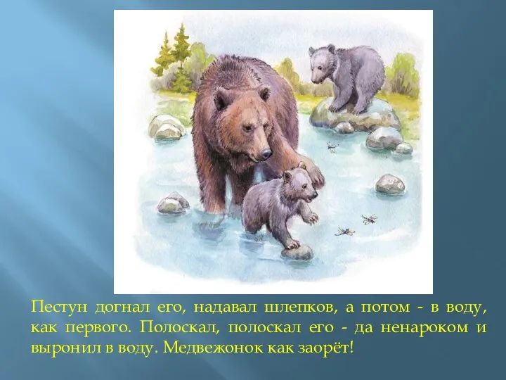 Пестун догнал его, надавал шлепков, а потом - в воду, как