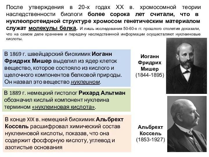 После утверждения в 20-х годах ХХ в. хромосомной теории наследственности биологи