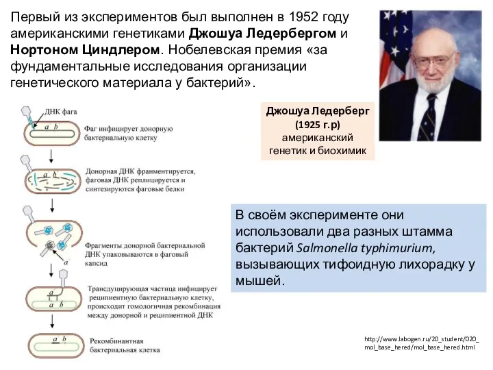 Первый из экспериментов был выполнен в 1952 году американскими генетиками Джошуа