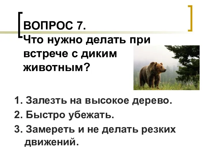 ВОПРОС 7. Что нужно делать при встрече с диким животным? 1.