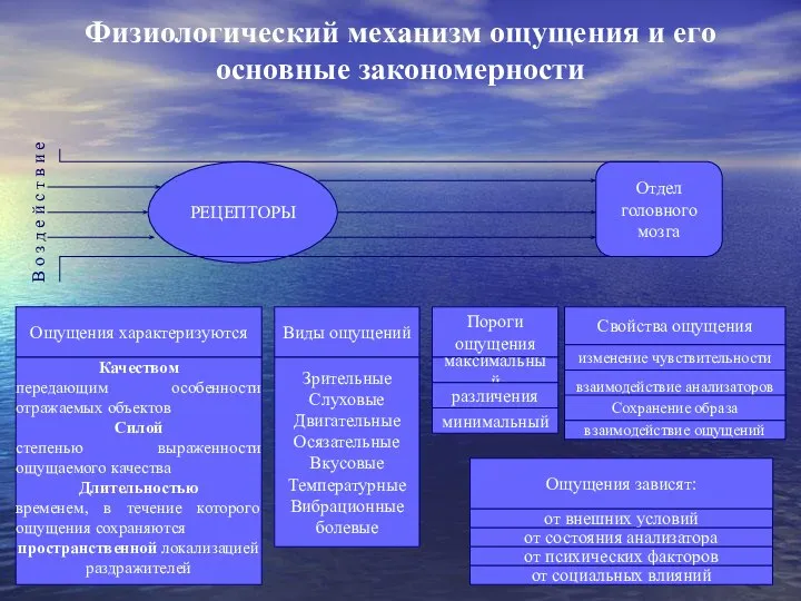 Физиологический механизм ощущения и его основные закономерности РЕЦЕПТОРЫ Отдел головного мозга