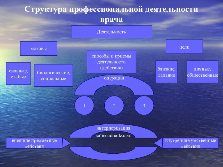 Структура профессиональной деятельности врача Деятельность мотивы цели сильные, слабые биологические, социальные