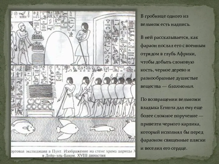 В гробнице одного из вельмож есть надпись. В ней рассказывается, как