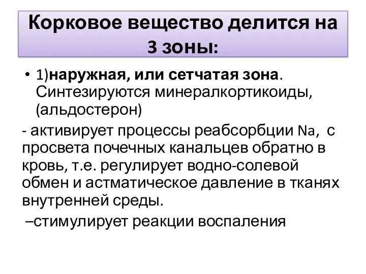 Корковое вещество делится на 3 зоны: 1)наружная, или сетчатая зона. Синтезируются