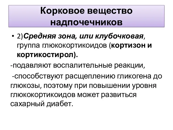 Корковое вещество надпочечников 2)Средняя зона, или клубочковая, группа глюкокортикоидов (кортизон и