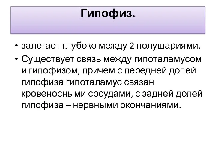 Гипофиз. залегает глубоко между 2 полушариями. Существует связь между гипоталамусом и