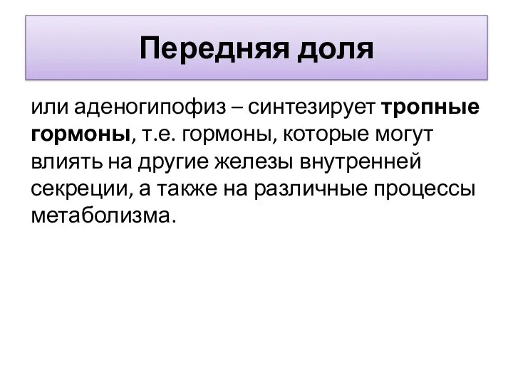 Передняя доля или аденогипофиз – синтезирует тропные гормоны, т.е. гормоны, которые