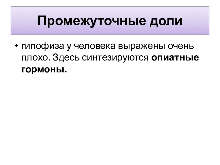 Промежуточные доли гипофиза у человека выражены очень плохо. Здесь синтезируются опиатные гормоны.