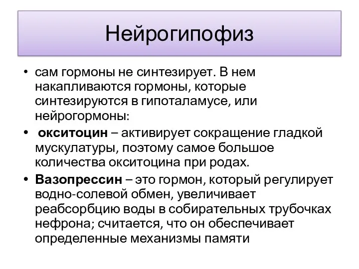 Нейрогипофиз сам гормоны не синтезирует. В нем накапливаются гормоны, которые синтезируются