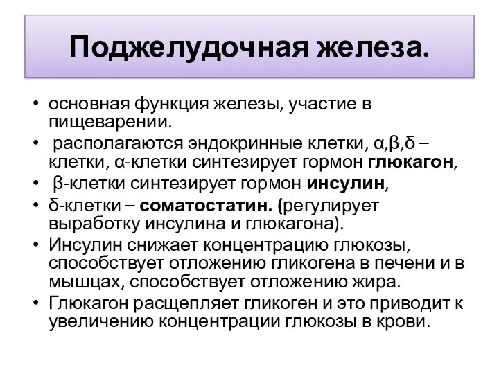 Поджелудочная железа. основная функция железы, участие в пищеварении. располагаются эндокринные клетки,