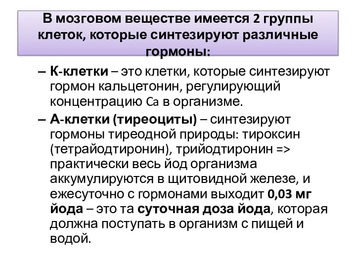 В мозговом веществе имеется 2 группы клеток, которые синтезируют различные гормоны: