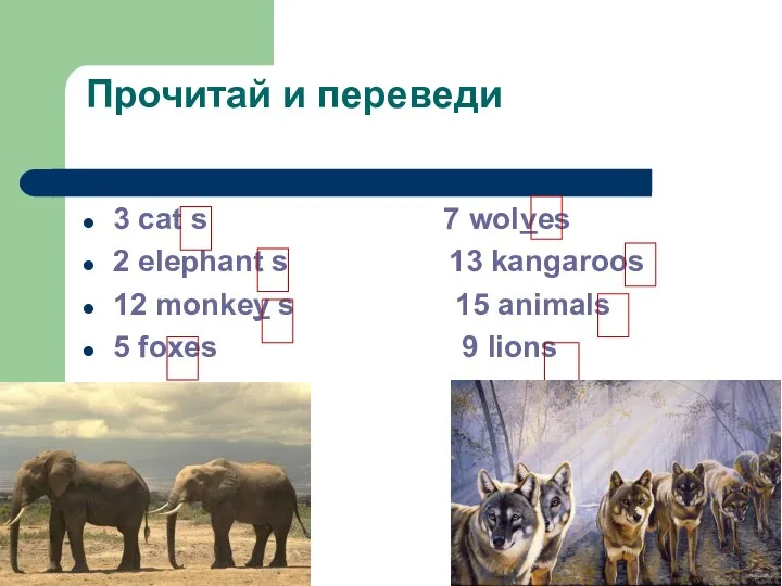 Прочитай и переведи 3 cat s 7 wolves 2 elephant s