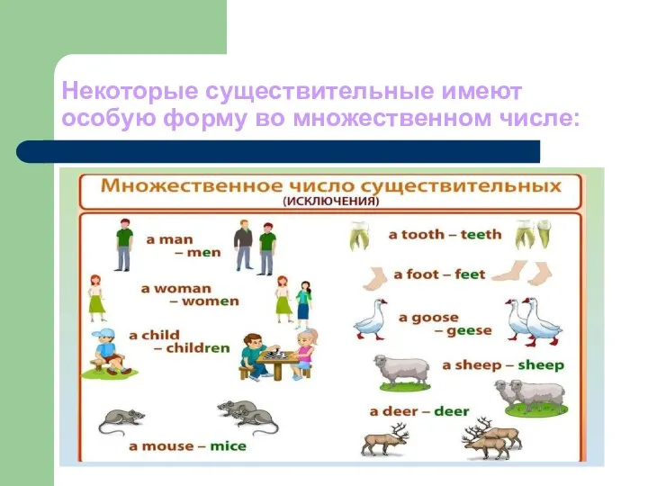 Некоторые существительные имеют особую форму во множественном числе: