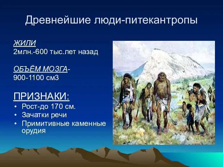 Древнейшие люди-питекантропы ЖИЛИ 2млн.-600 тыс.лет назад ОБЪЁМ МОЗГА- 900-1100 см3 ПРИЗНАКИ:
