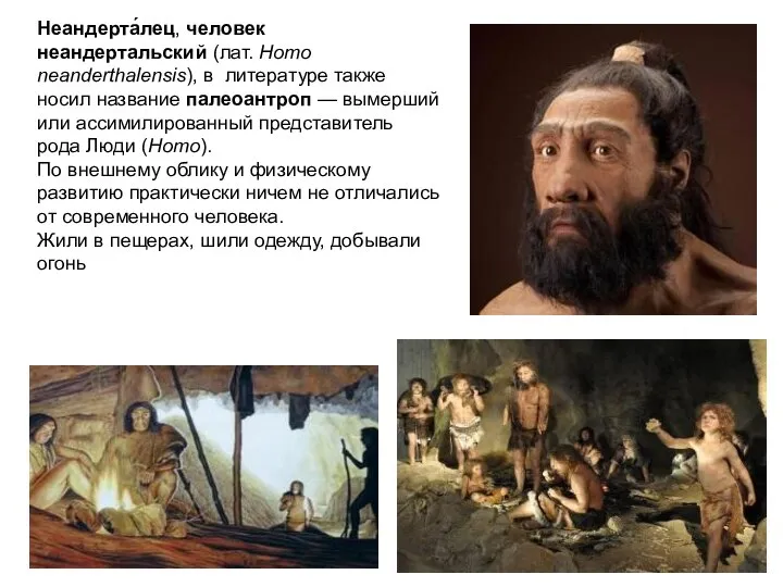 Неандерта́лец, человек неандертальский (лат. Homo neanderthalensis), в литературе также носил название