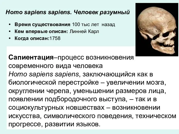 Homo sapiens sapiens. Человек разумный Время существования 100 тыс лет назад