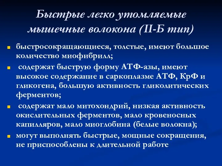 Быстрые легко утомляемые мышечные волокона (II-Б тип) быстросокращающиеся, толстые, имеют большое