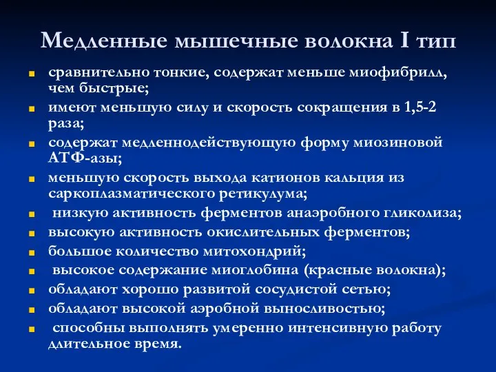 Медленные мышечные волокна I тип сравнительно тонкие, содержат меньше миофибрилл, чем