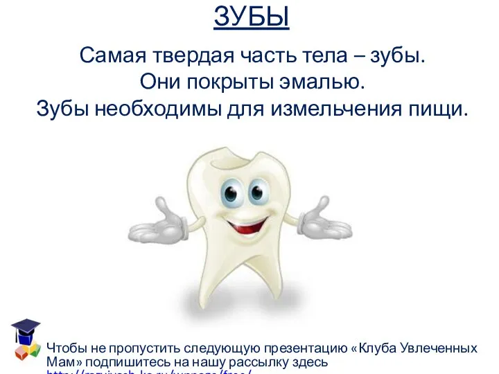 ЗУБЫ Самая твердая часть тела – зубы. Они покрыты эмалью. Зубы