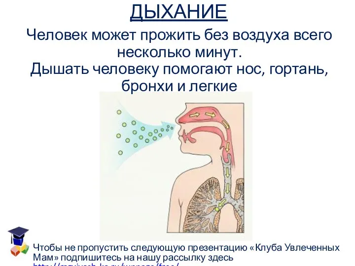 ДЫХАНИЕ Человек может прожить без воздуха всего несколько минут. Дышать человеку